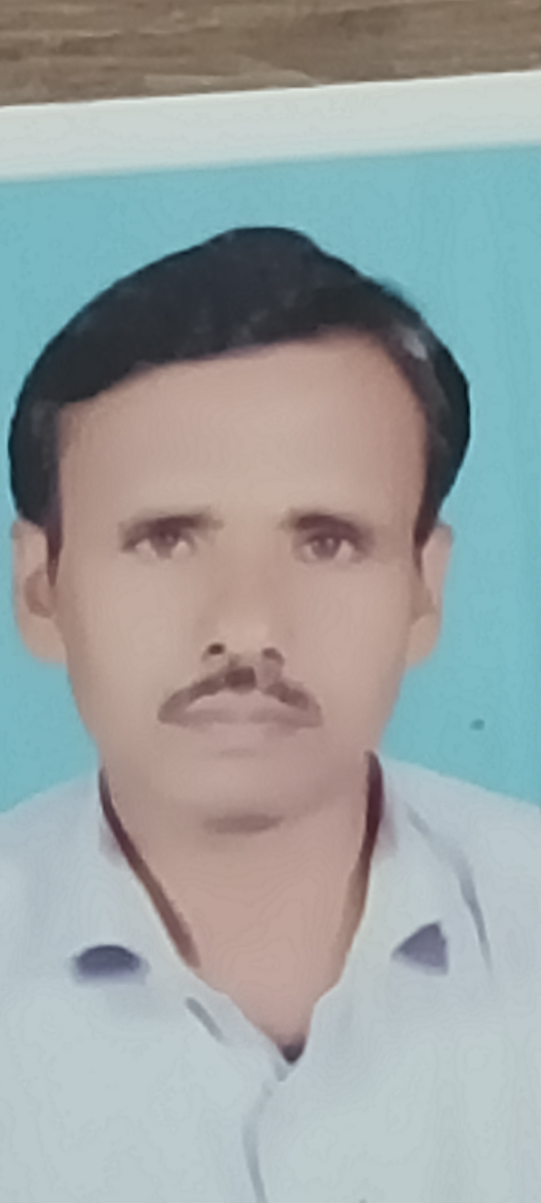 Passport Photo