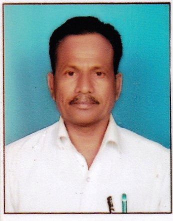 Passport Photo