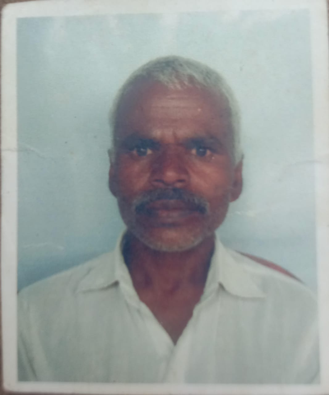 Passport Photo