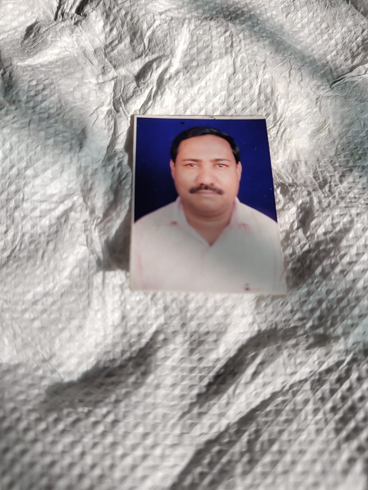Passport Photo