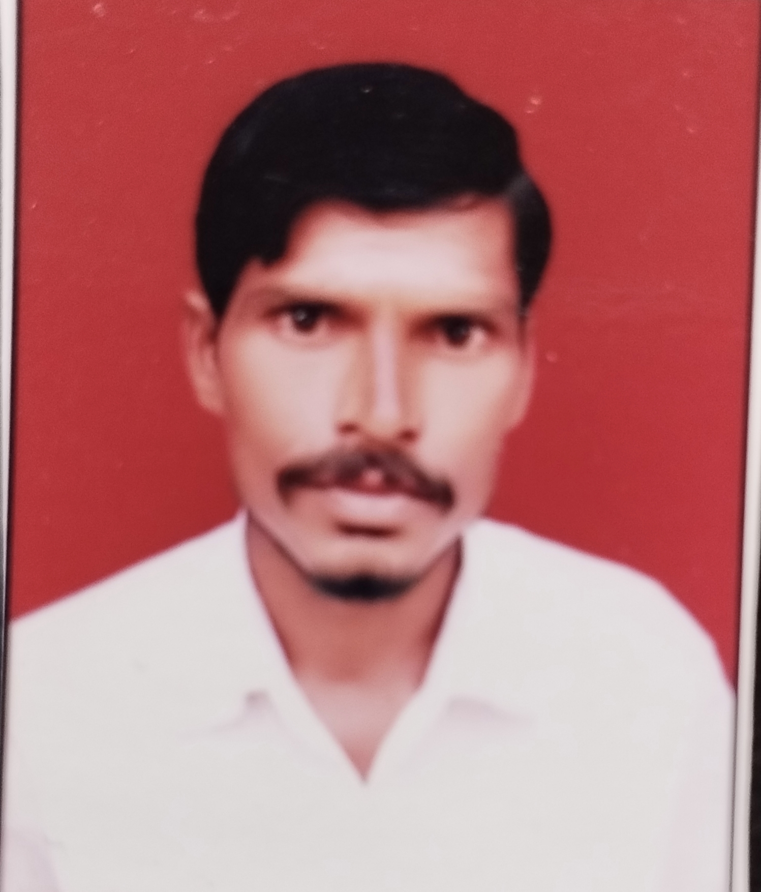 Passport Photo