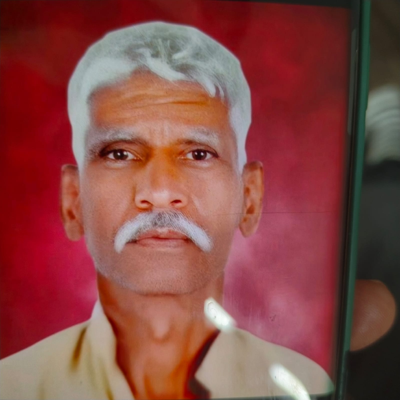 Passport Photo