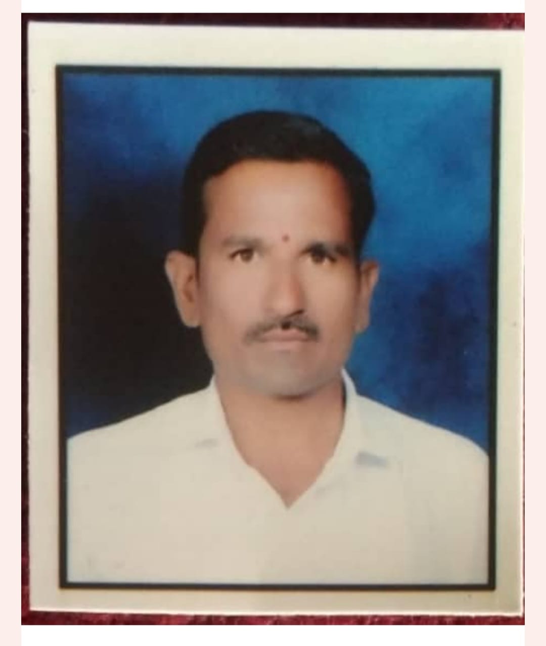 Passport Photo