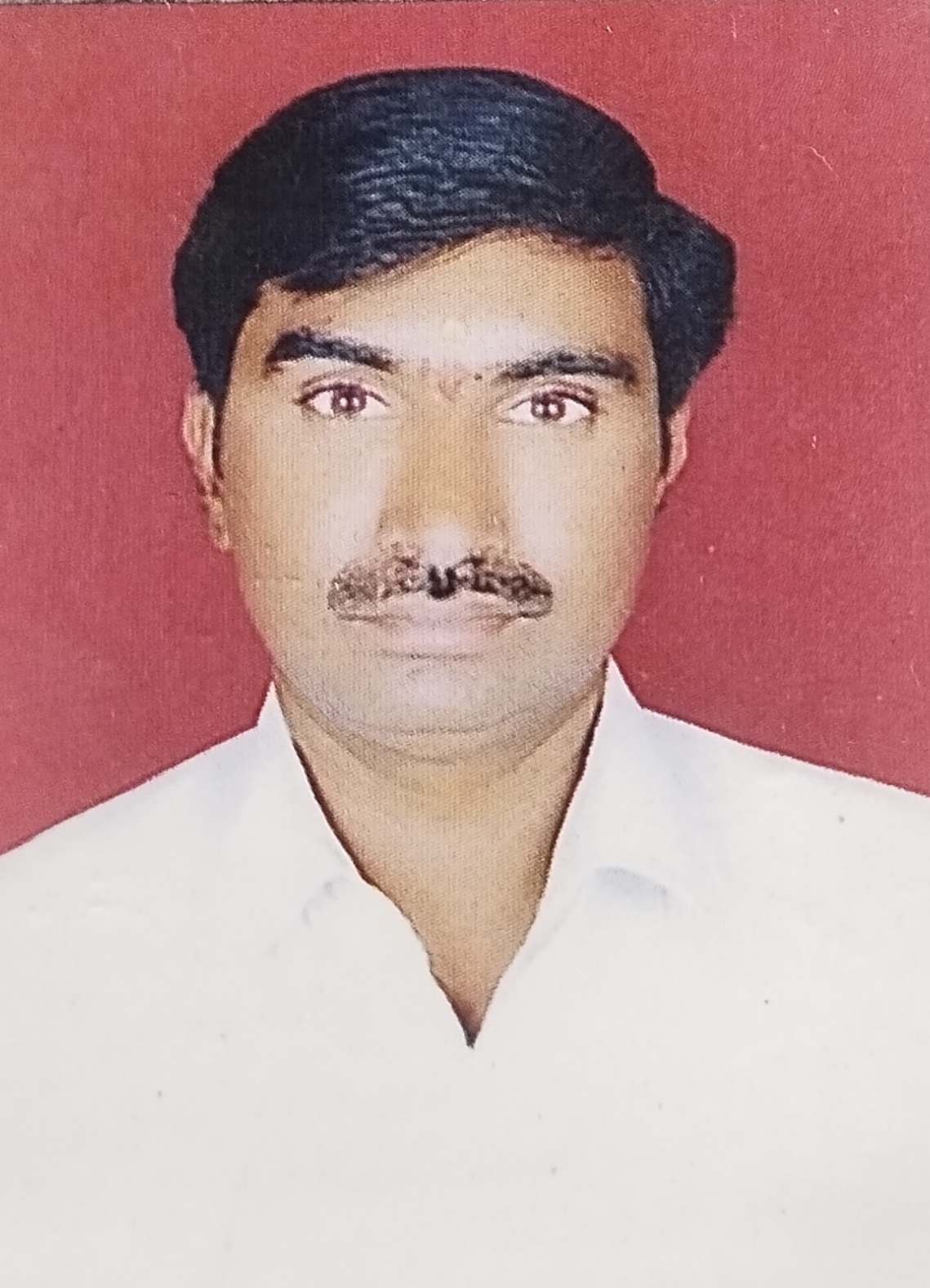 Passport Photo